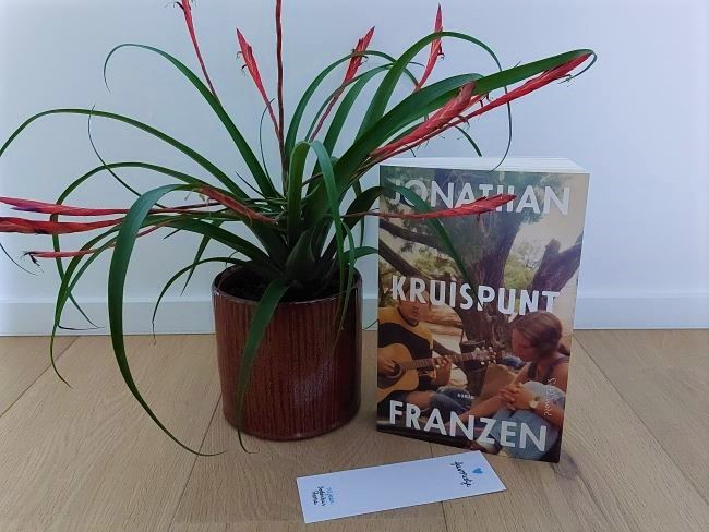 Kruispunt - Jonathan Franzen