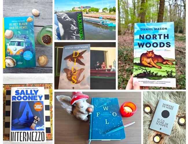 De eindbalans: 15 X Favoriete boeken van 2024 - The Cactus Lounge