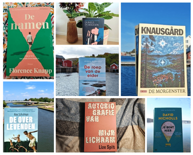 Favoriete boeken van 2025