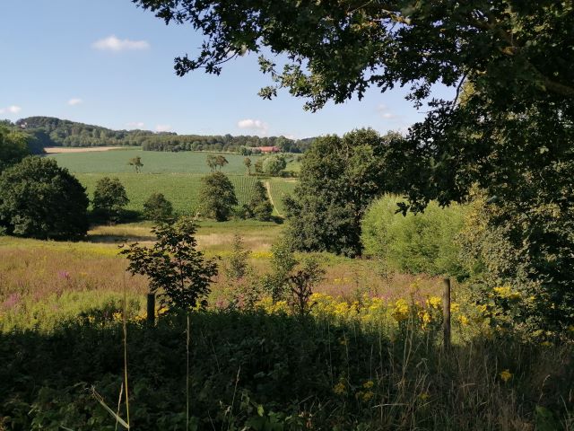 mooiste wandelingen in West- en Oost-Vlaanderen